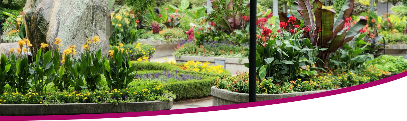 Gepa Göschel - Körper & Seele - Psychotherapie - Beratung - Entspannungsverfahren - Hamburg