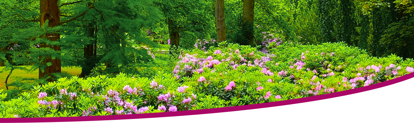 Gepa Göschel - Körper & Seele - Psychotherapie - Beratung - Entspannungsverfahren - Hamburg