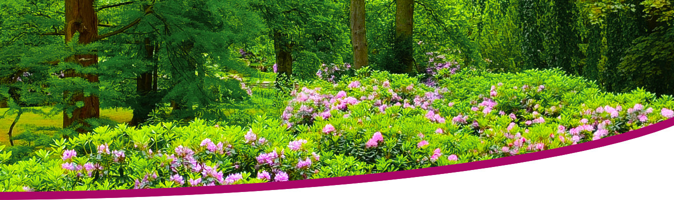 Gepa Göschel - Körper & Seele - Psychotherapie - Beratung - Entspannungsverfahren - Hamburg